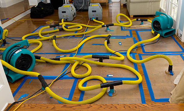 Professional Crawl Space Water Removal technician working in Randolph, MS
